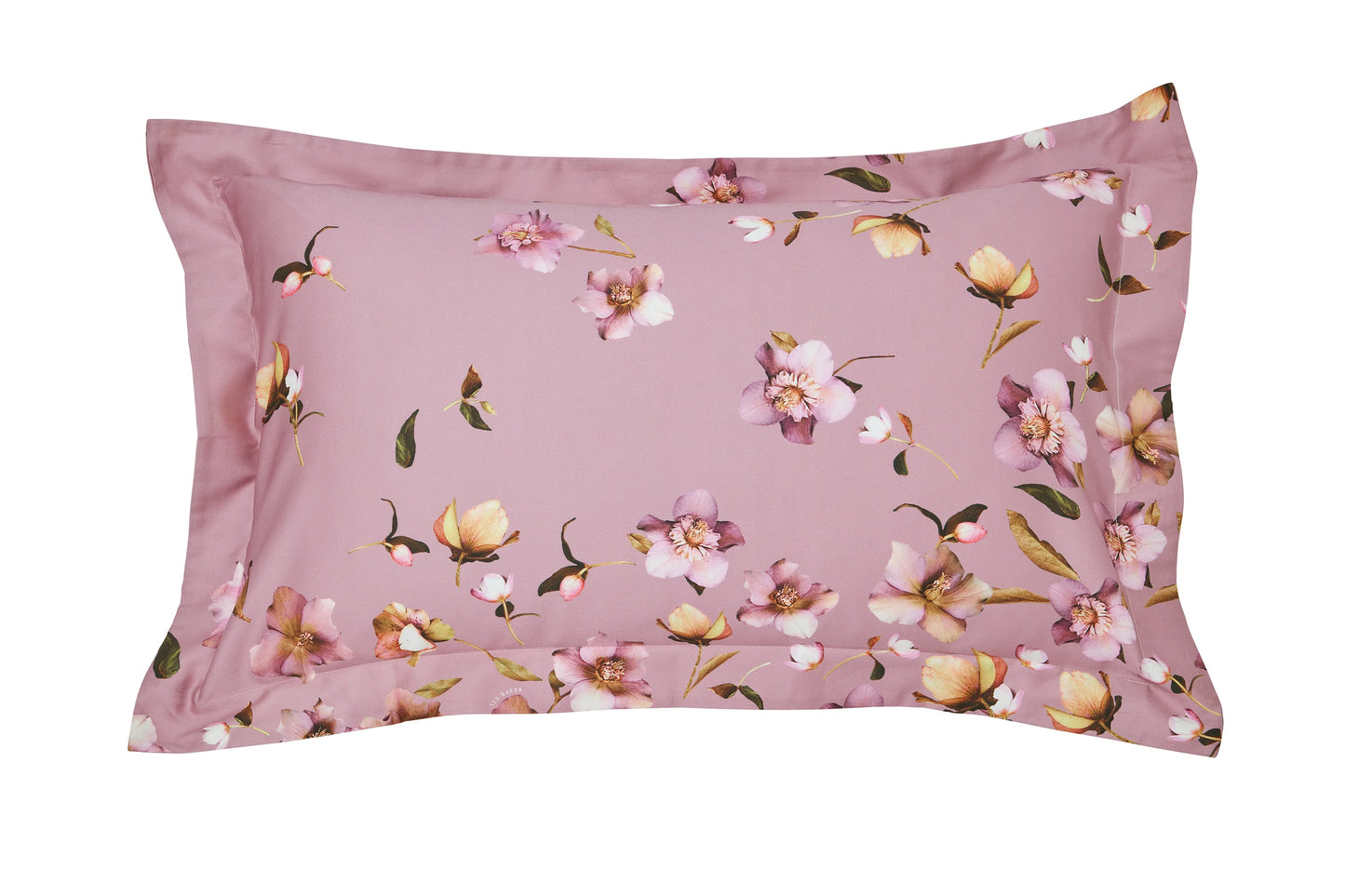 ARBORETUMDB | PINK