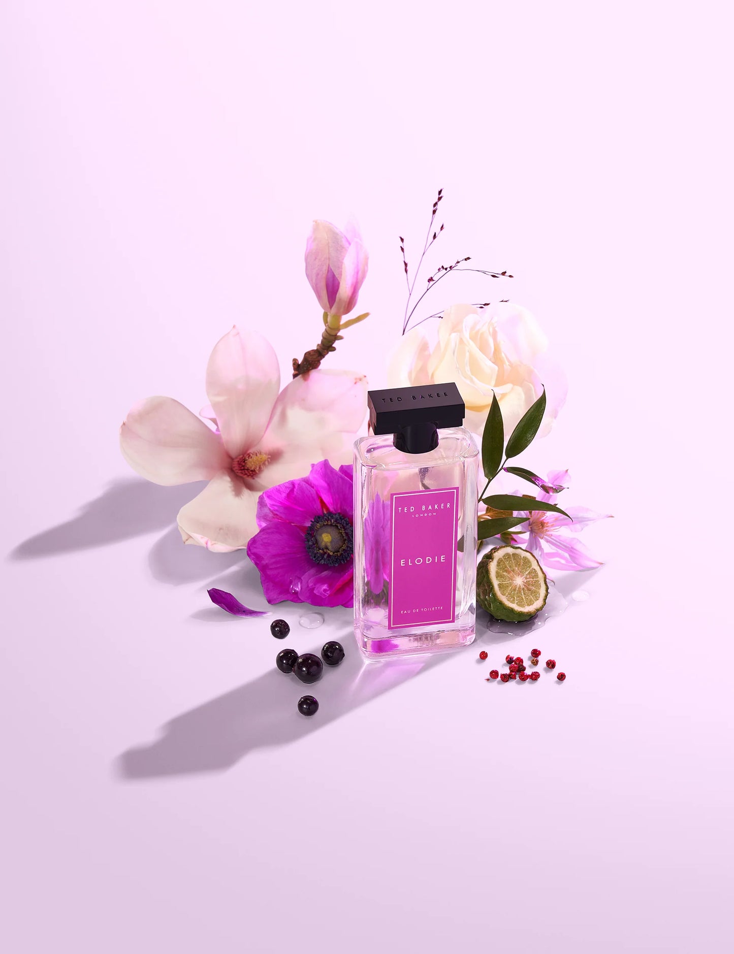 ELODIE | 100ml
