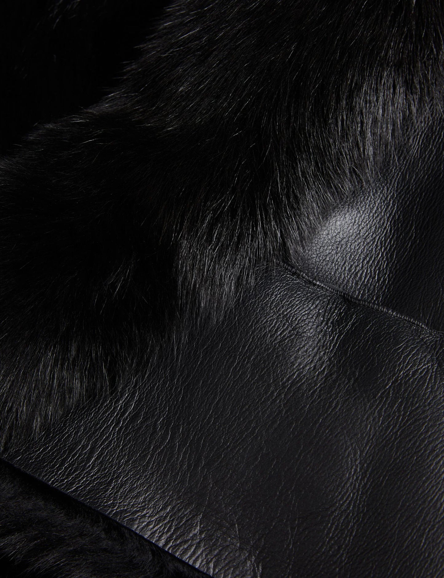 LAEVI | BLACK