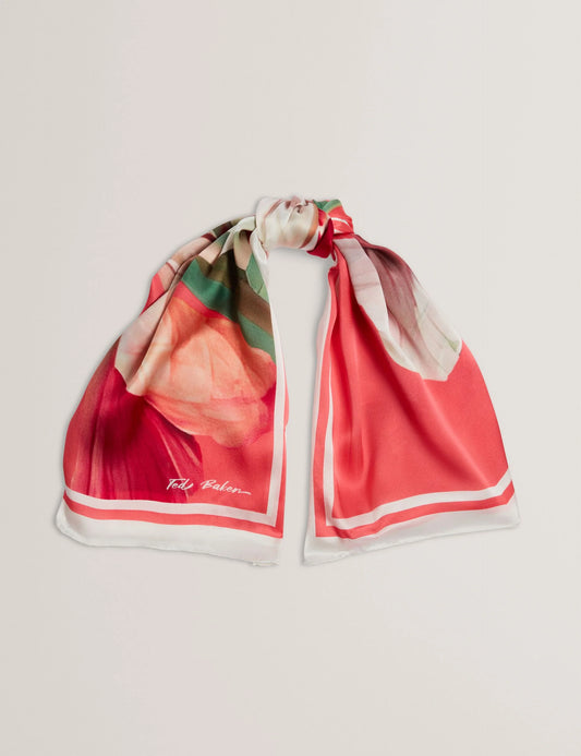 TICCI | CORAL