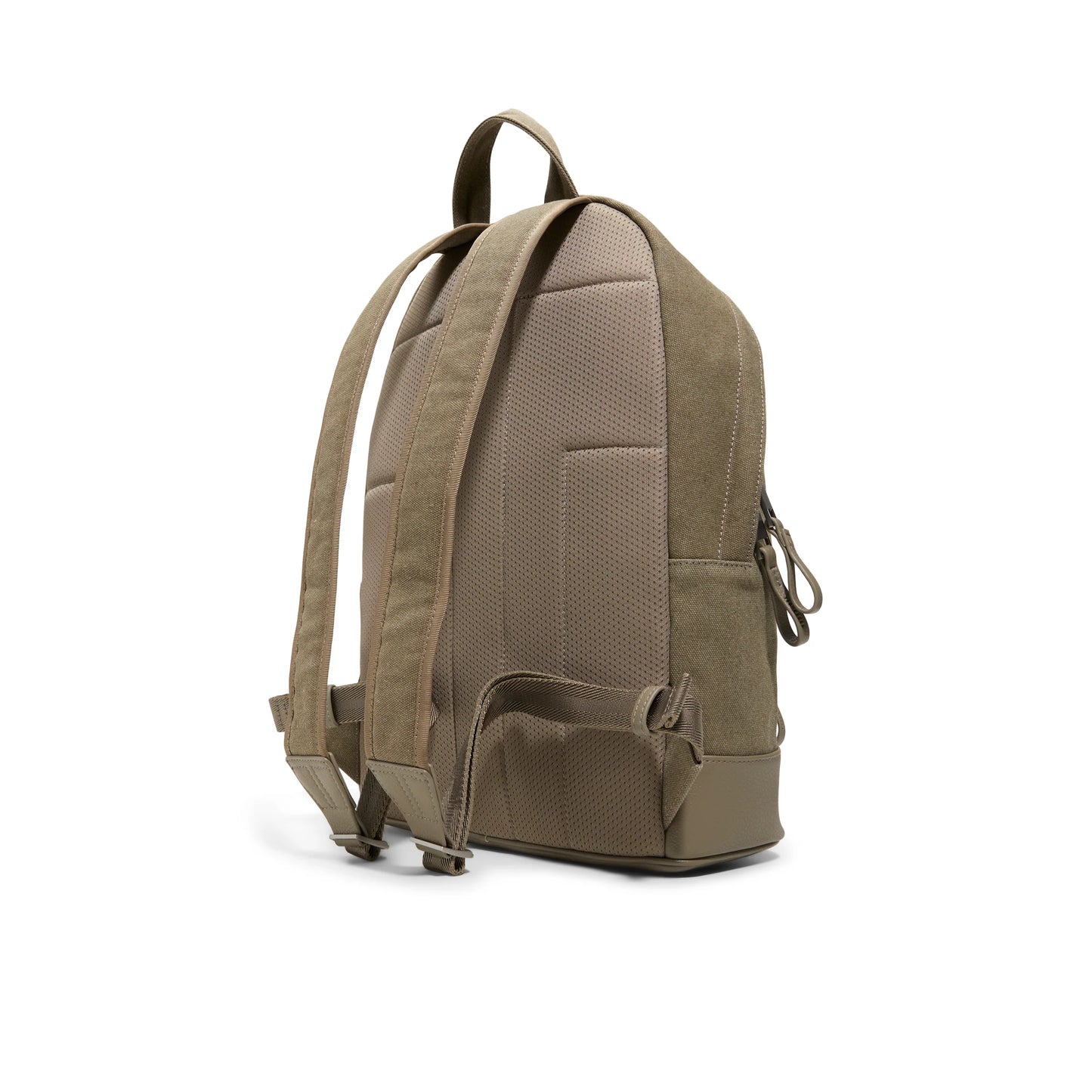 YORK | OLIVE