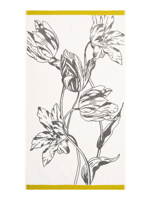 TULIPHT | GOLD