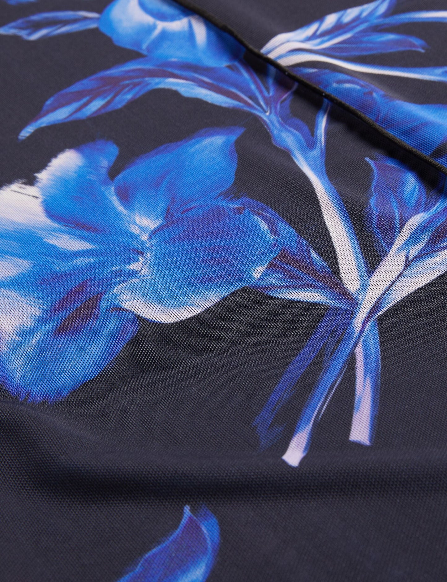DEKOTHA | BLUE