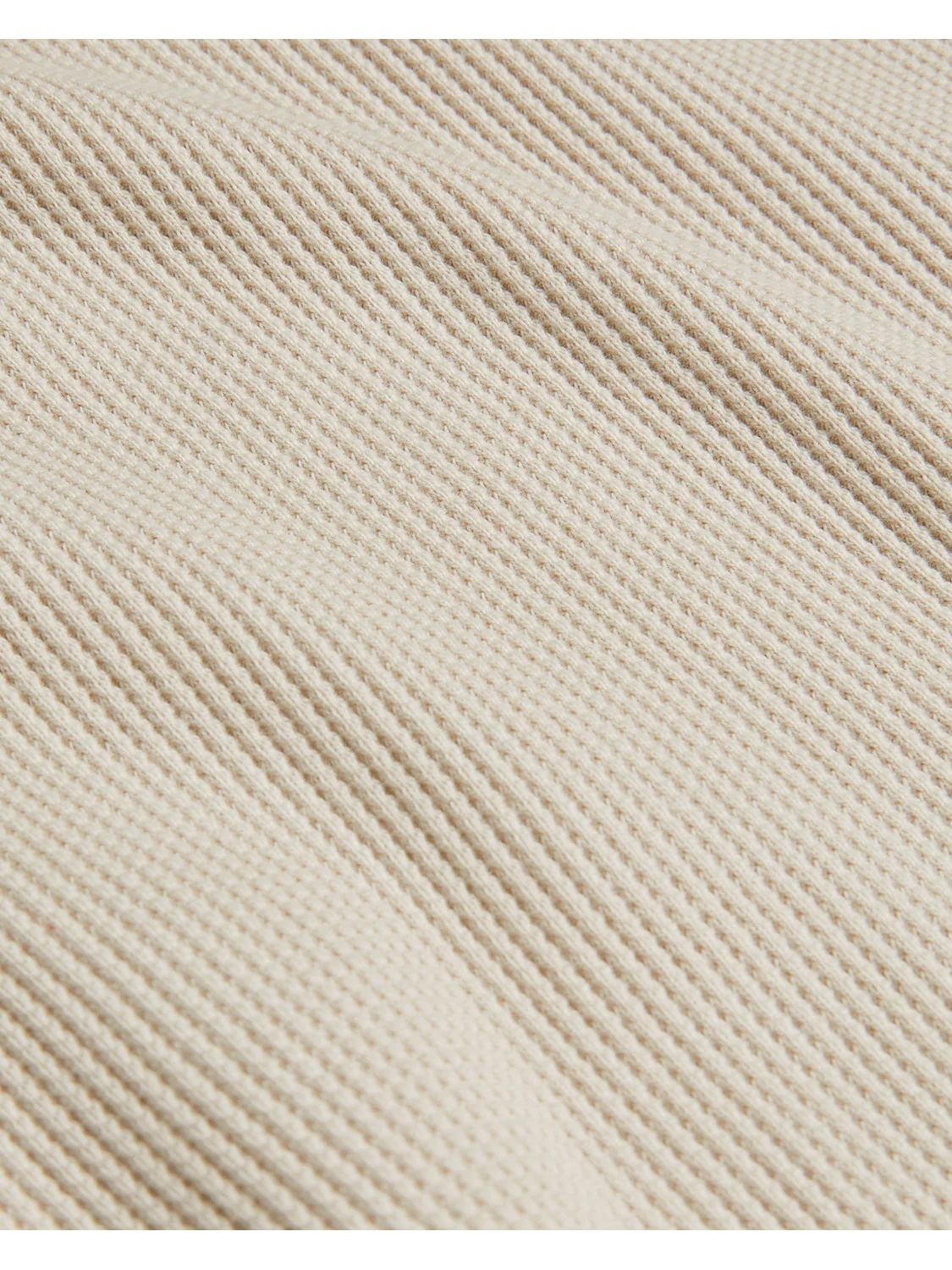 FRUTE | STONE